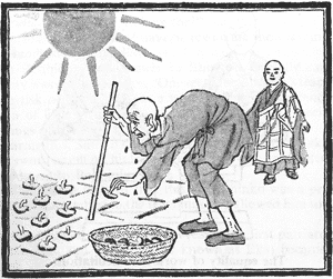 zen7-02-3004291