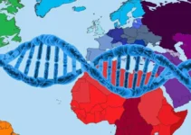 Can Your DNA Tell Where Are Your Ancestors From