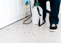 Do You Really Need Pest Control Professionals? Find Here