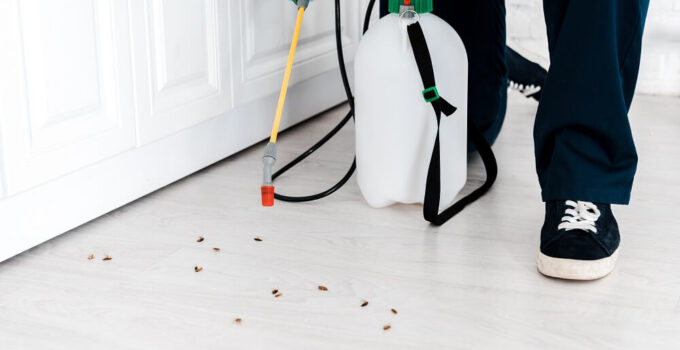 Do You Really Need Pest Control Professionals? Find Here