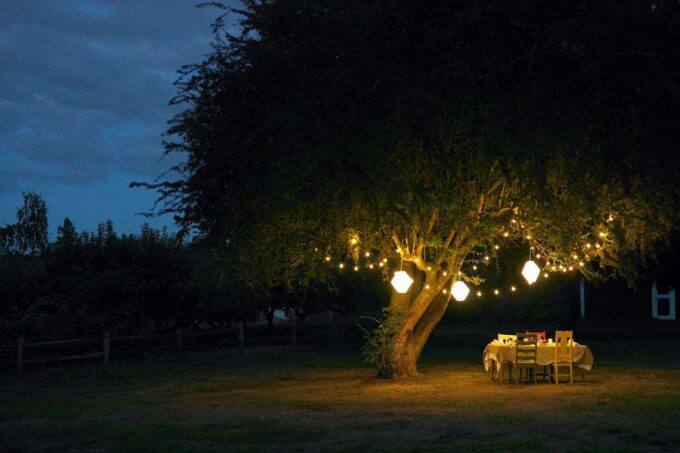 Diverse Designs for Every Aesthetic - illuminating the garden at night