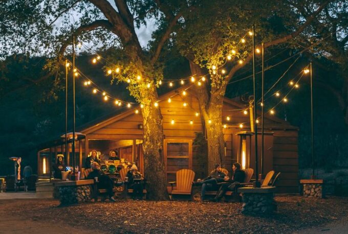 Efficiency Meets Elegance - garden lights